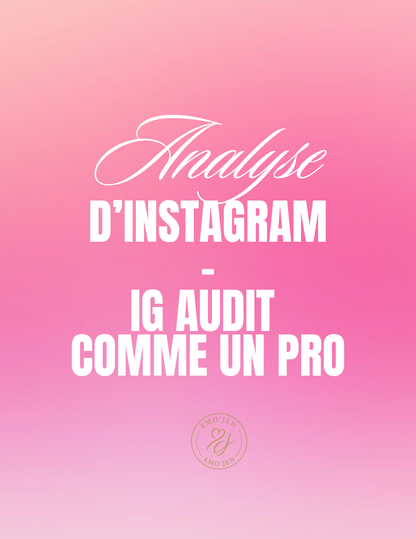 Audit Instagram